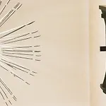 Procyon Boutique &