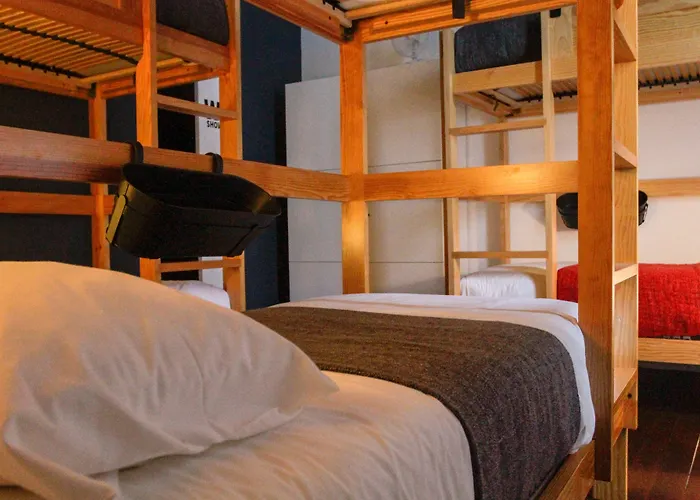 Procyon Boutique & 2*