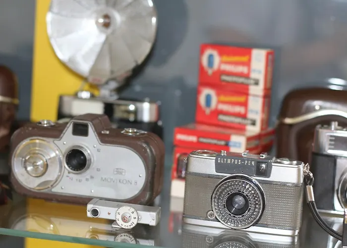 Procyon Boutique & Гостевой дом Понта-Делгада