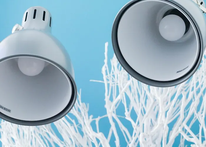 Procyon Boutique & Понта-Делгада