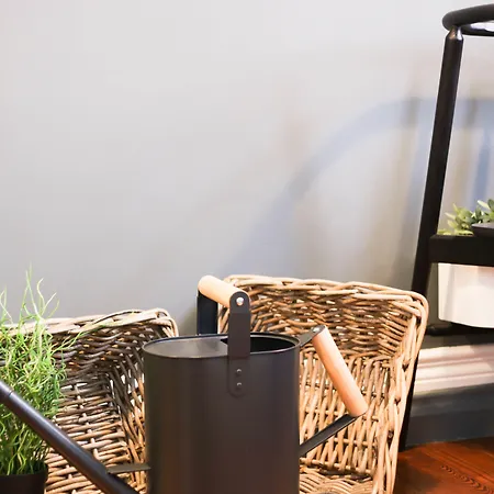 Procyon Boutique&suites