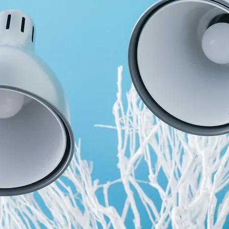 Procyon Boutique&suites Ponta Delgada