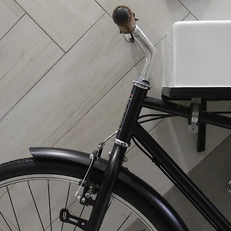 Maison d'hôtes Procyon Boutique&suites