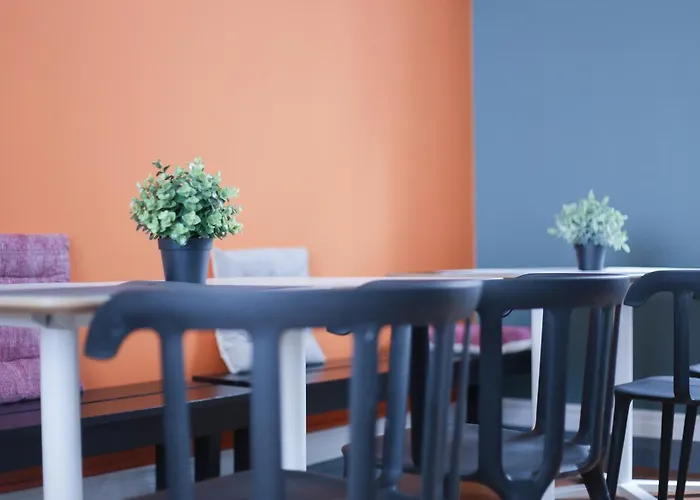 Procyon Boutique & Ponta Delgada