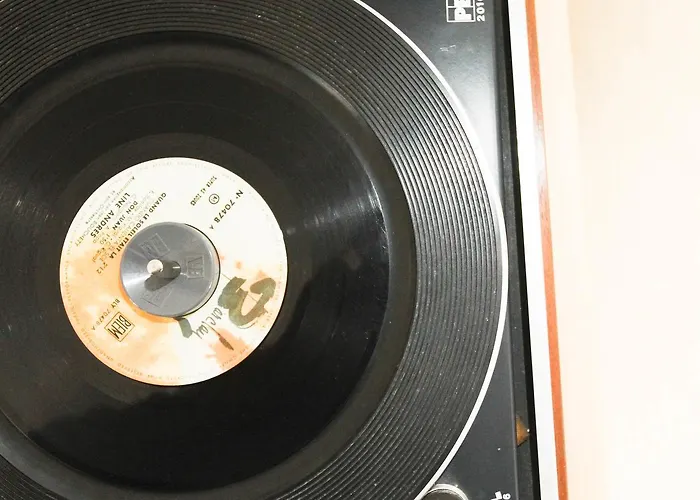 Procyon Boutique & Gasthuis 2*